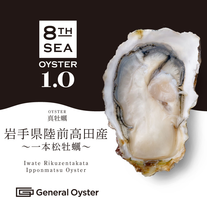 真牡蠣｜岩手県陸前高田産 『一本松牡蠣』6個セット〜36個セット