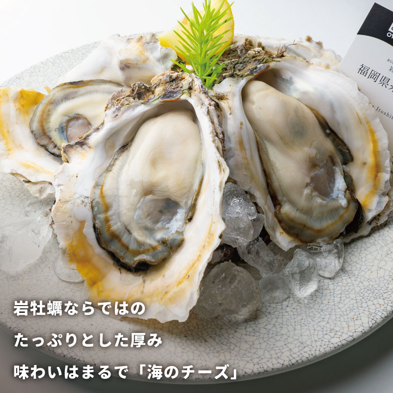 岩牡蠣30個専用 岩牡蠣30個専用