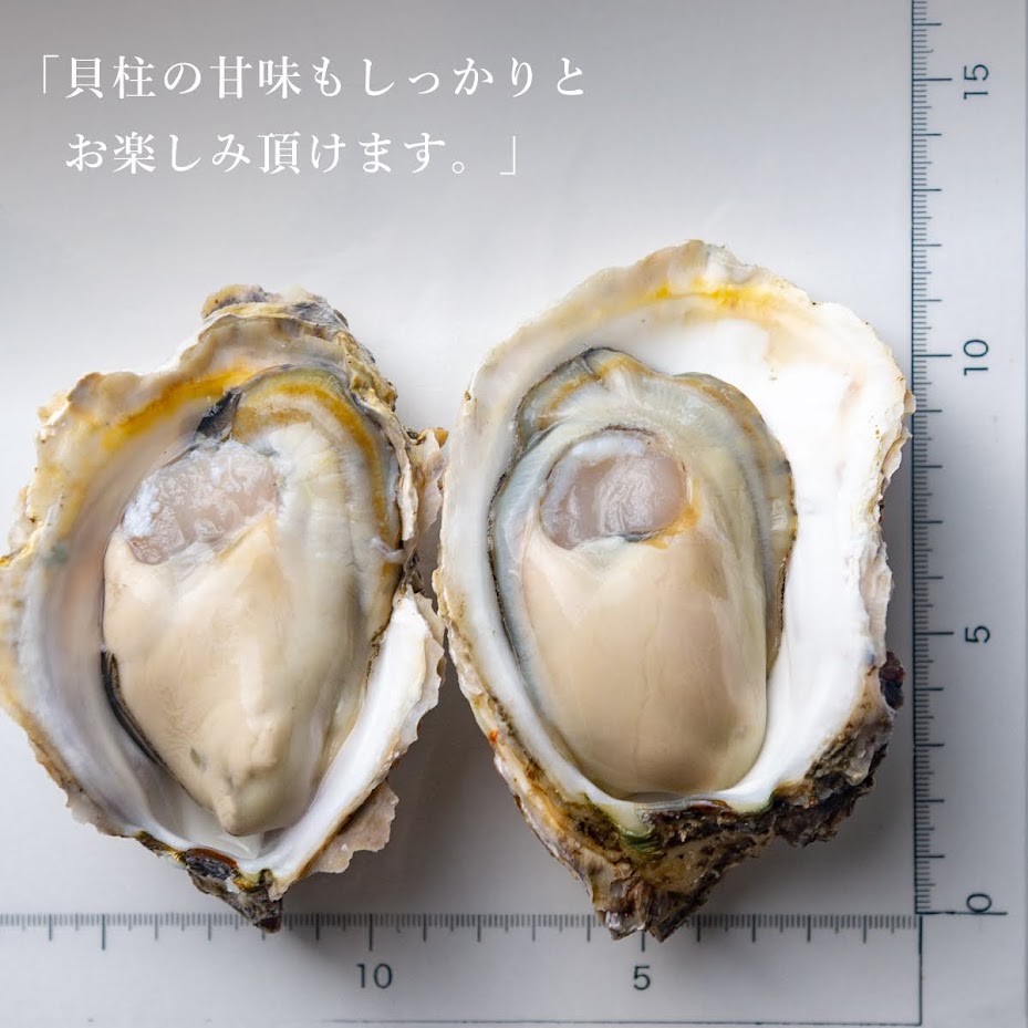 岩牡蠣｜三重県 東紀州産 4個〜（品切中） | ゼネラル・オイスターグループの生牡蠣通販サイト「eオイスター」