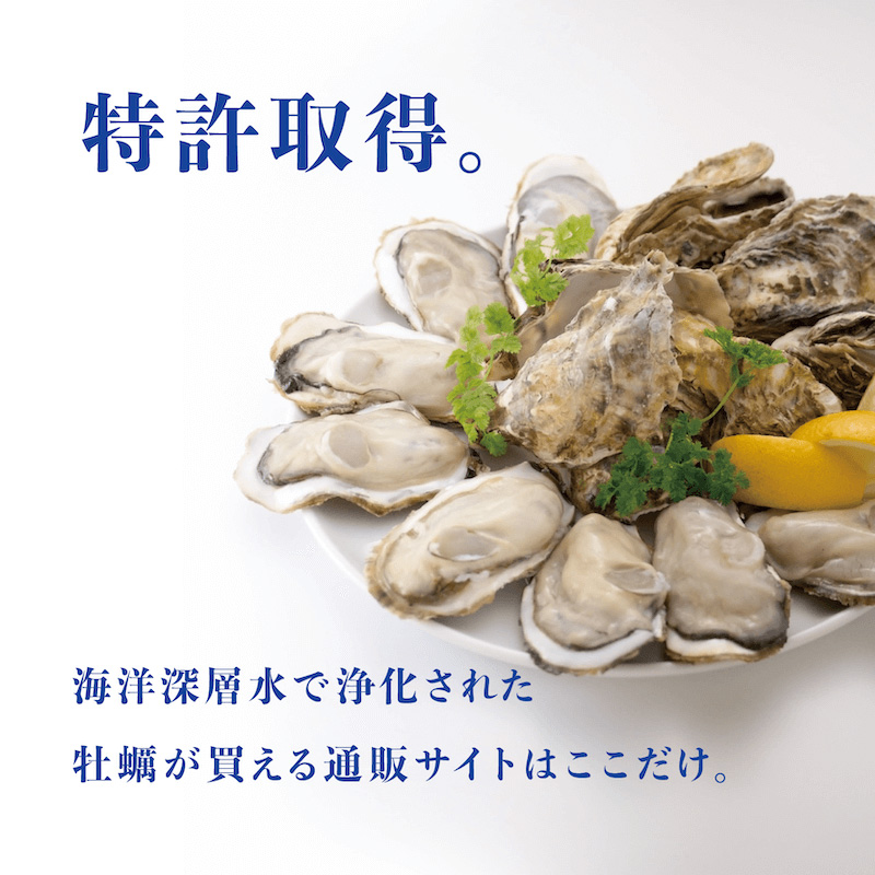 選べる真牡蠣3産地｜12個セット | ゼネラル・オイスターグループ
