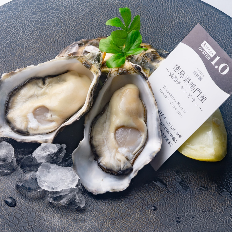 牡蠣たん ノースイ 殻付きかきグラタン 4個P | MCフーズ オンラインショップ