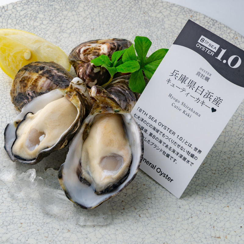monomania - 牡蠣くん様 商品ページ 真牡蠣｜兵庫県 白浜産『キューティーカキー♥』シングルシード
