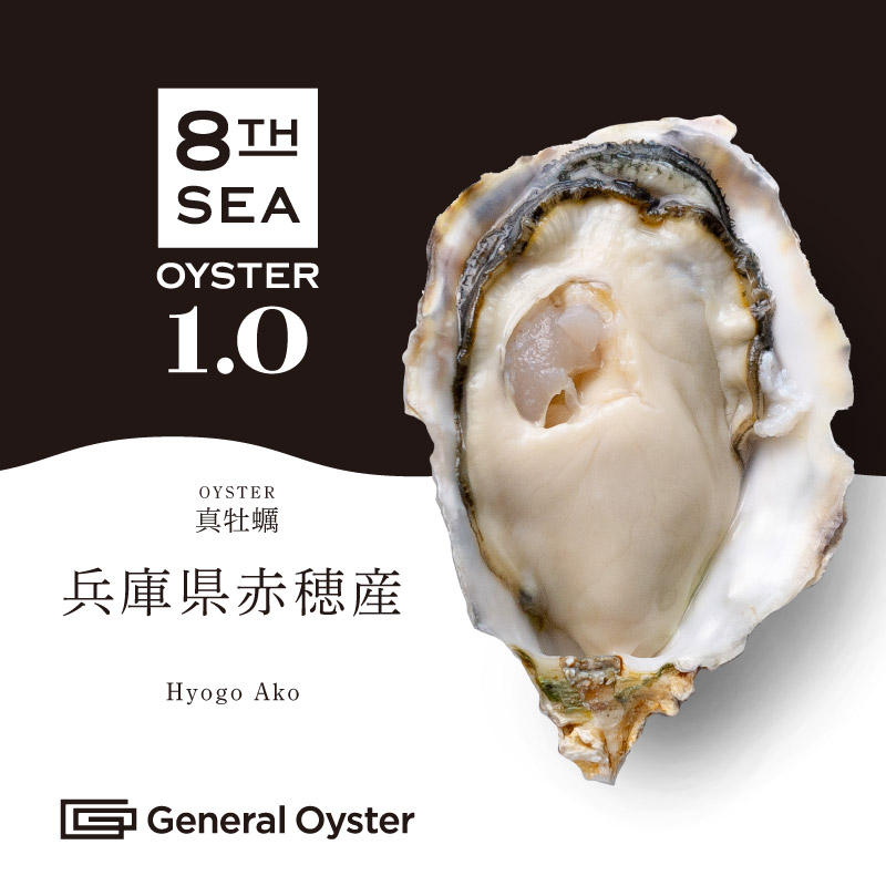 あやな　真牡蠣10kg +2kg 計12kg 朝どれ直送】殻付養殖真牡蠣 3kg 加熱用 | 岡山八朗兵衛商店