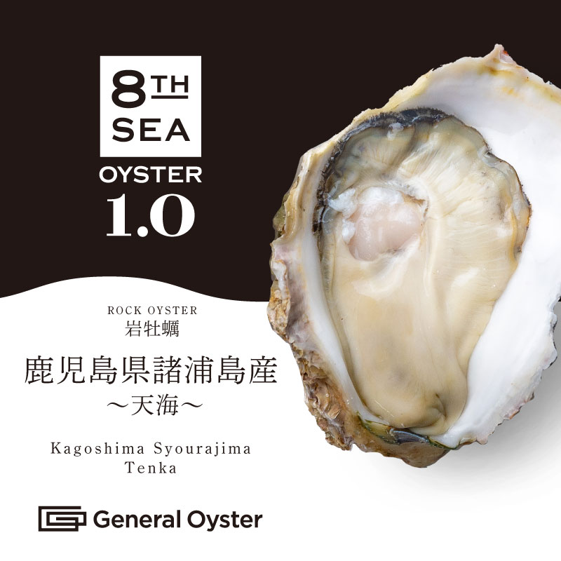 年末指定可！！お一人様限定特別価格！　注文受付後水揚げ！真牡蠣10kg お一人様限定特別価格！ 注文受付後水揚げ！真牡蠣10kg