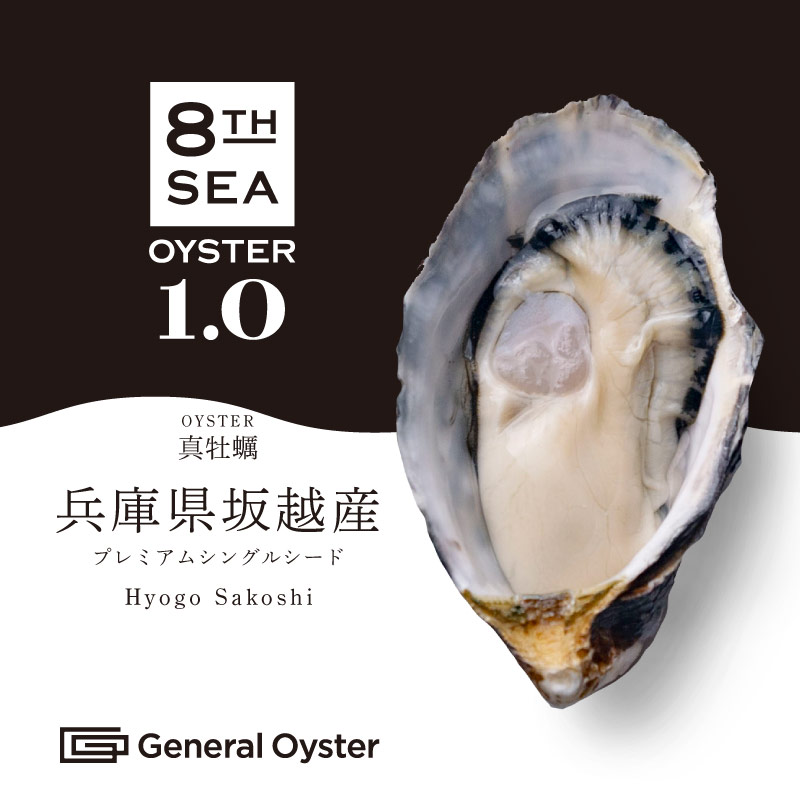 知ページ　真牡蠣10kg✖️2箱　2個口発送です。 楽天市場】送料無料 北海道厚岸産 殻付き 生牡蠣 10個 Lサイズ
