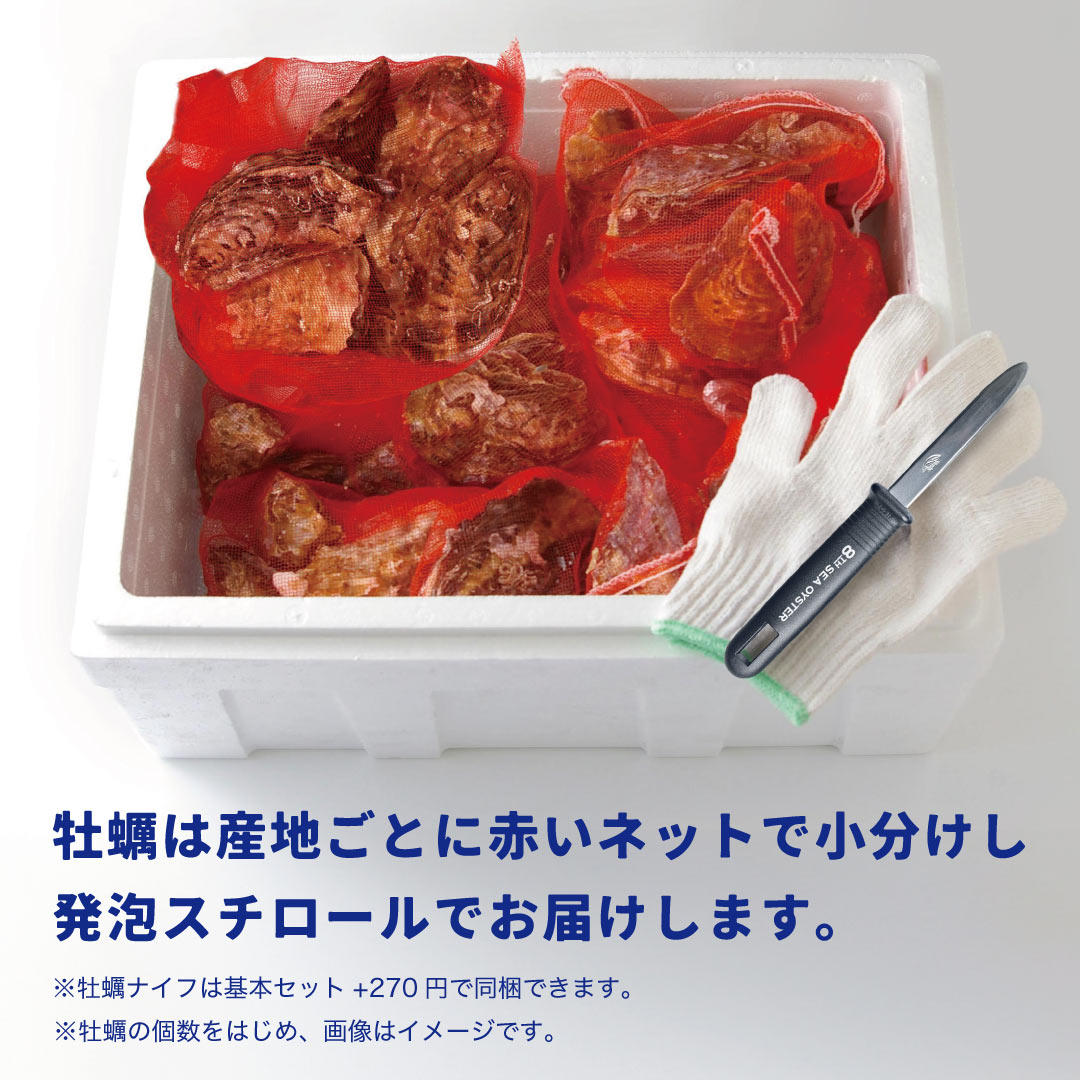 真牡蠣｜岡山県産『虫明ヴィーナスオイスター』12個セット