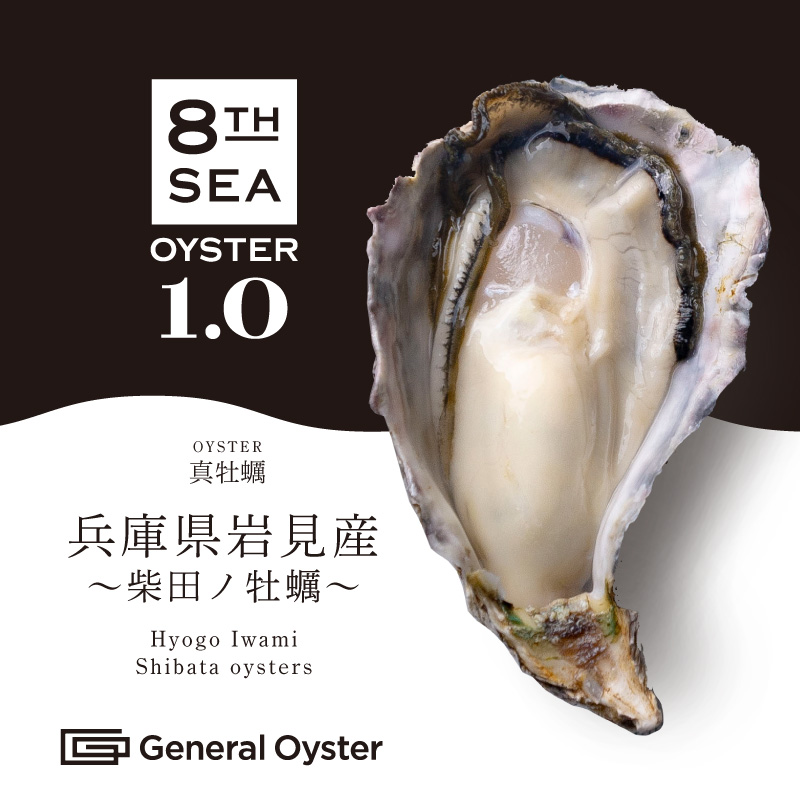 真牡蠣｜兵庫県 岩見産『柴田ノ牡蠣』12個セット〜（一時品切中