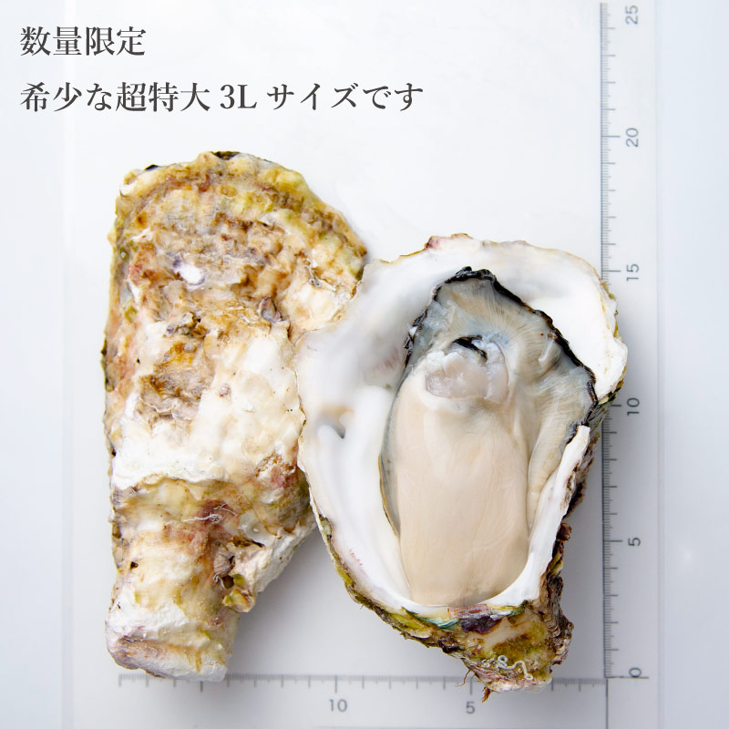 Amazon.co.jp: 北海道産天然クロソイ 500~800g 3尾 : 食品・飲料