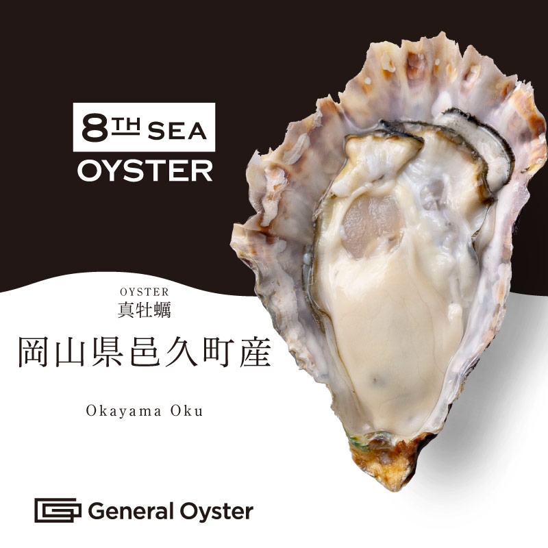 生食用 真牡蠣 岡山県産『虫明ヴィーナスオイスター』48個セット
