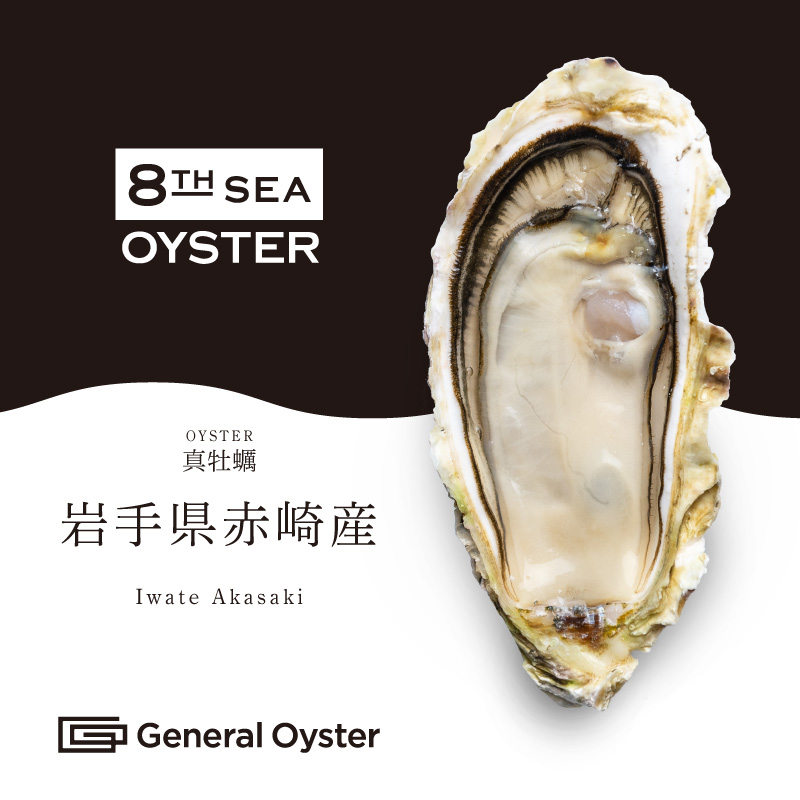 真牡蠣｜岩手県 赤崎産（無選別）12個セット〜（品切中
