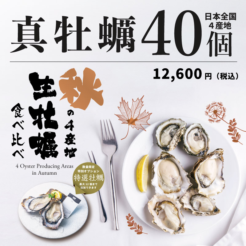 生牡蠣_mania 真牡蠣｜岡山県邑久町産 12個セット〜（品切中） | ゼネラル