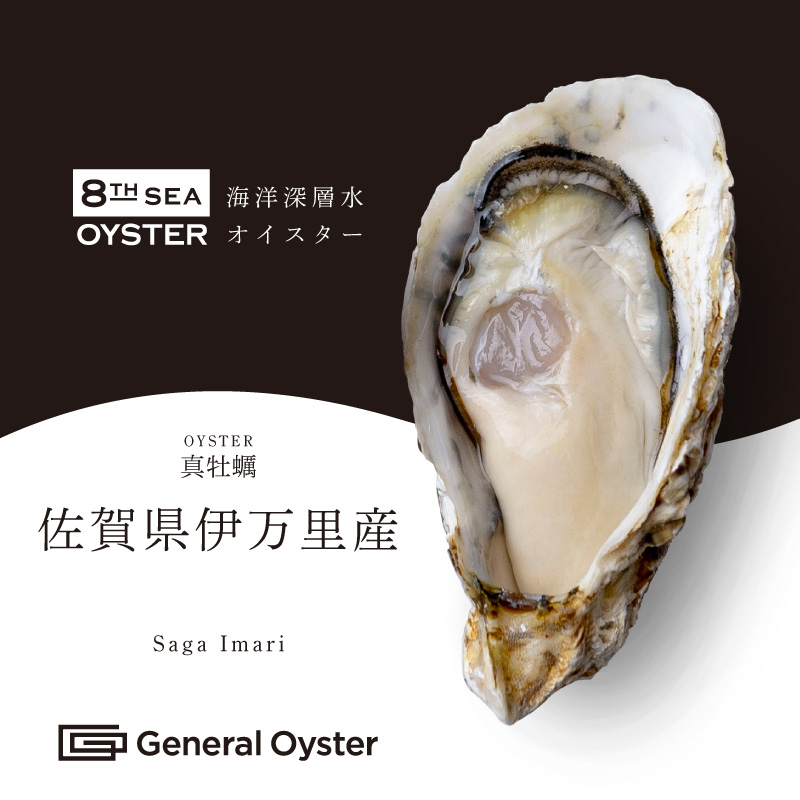 真牡蠣｜佐賀県 伊万里産 12個セット〜（品切中） | ゼネラル