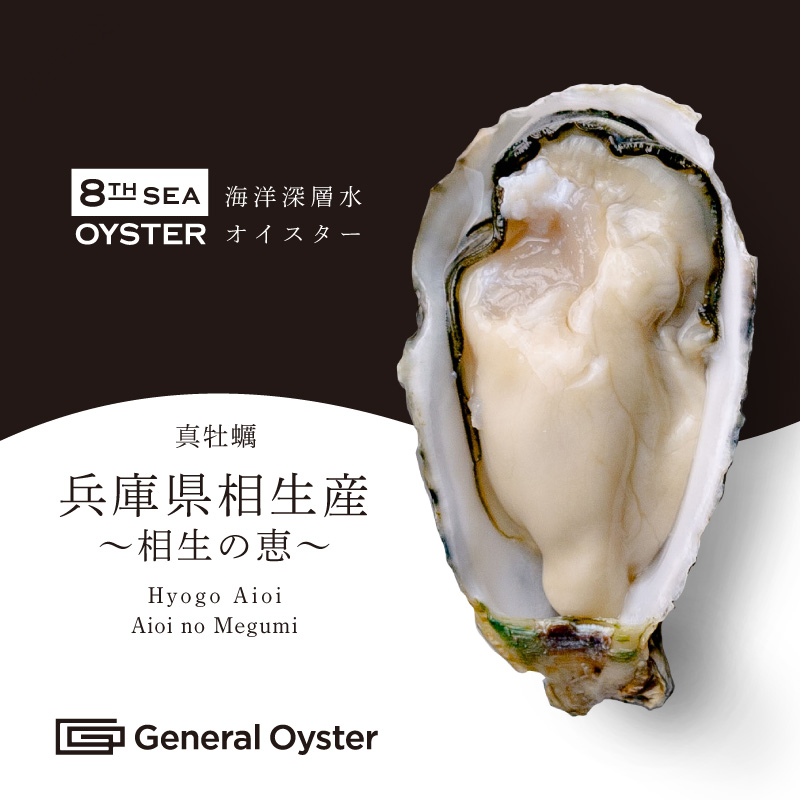 真牡蠣｜兵庫県 相生産『相生の恵』12個セット〜（品切中） | ゼネラル