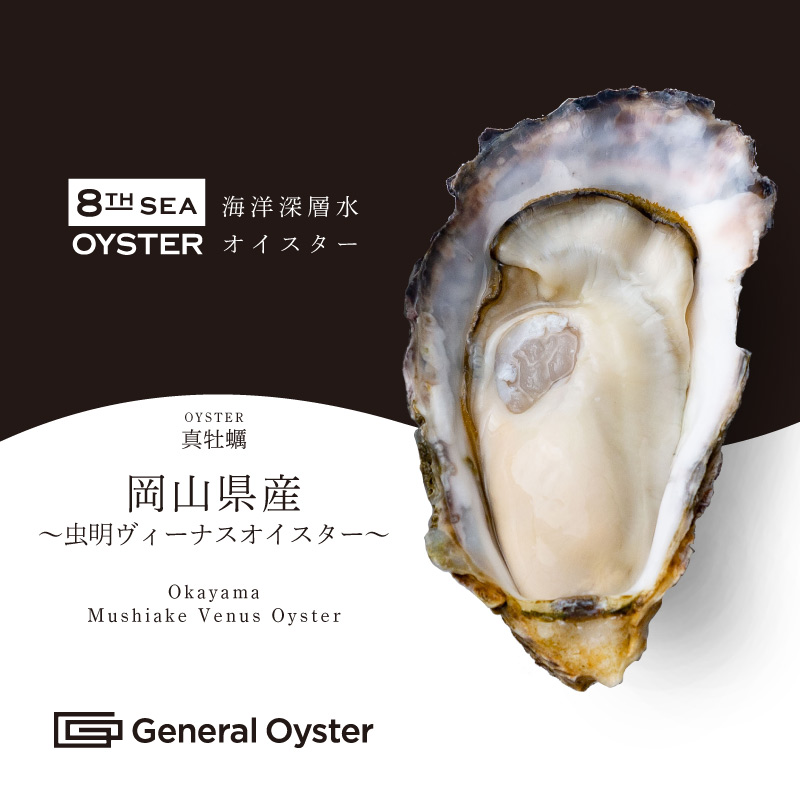 真牡蠣｜岡山県産『虫明ヴィーナスオイスター』12個セット〜（品切中
