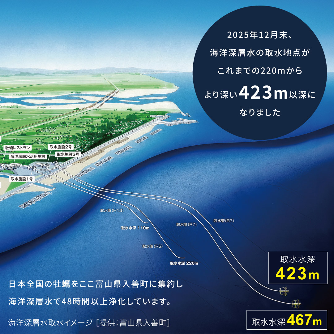 選べる真牡蠣2産地｜12個セット | ゼネラル・オイスターグループの生