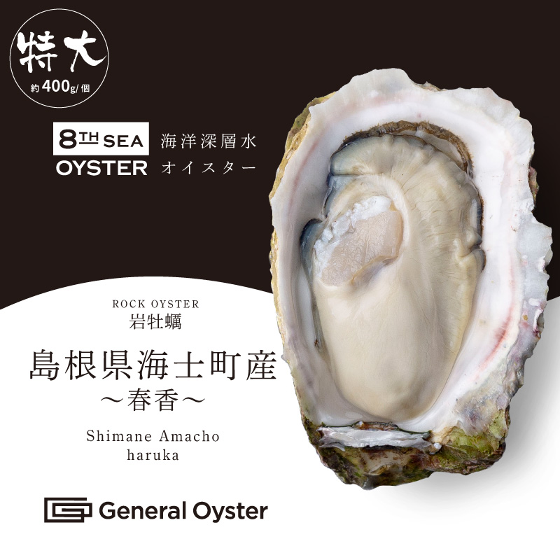 特大岩牡蠣｜島根県 海士町産『春香』LL（約400g／個）4個セット〜（品