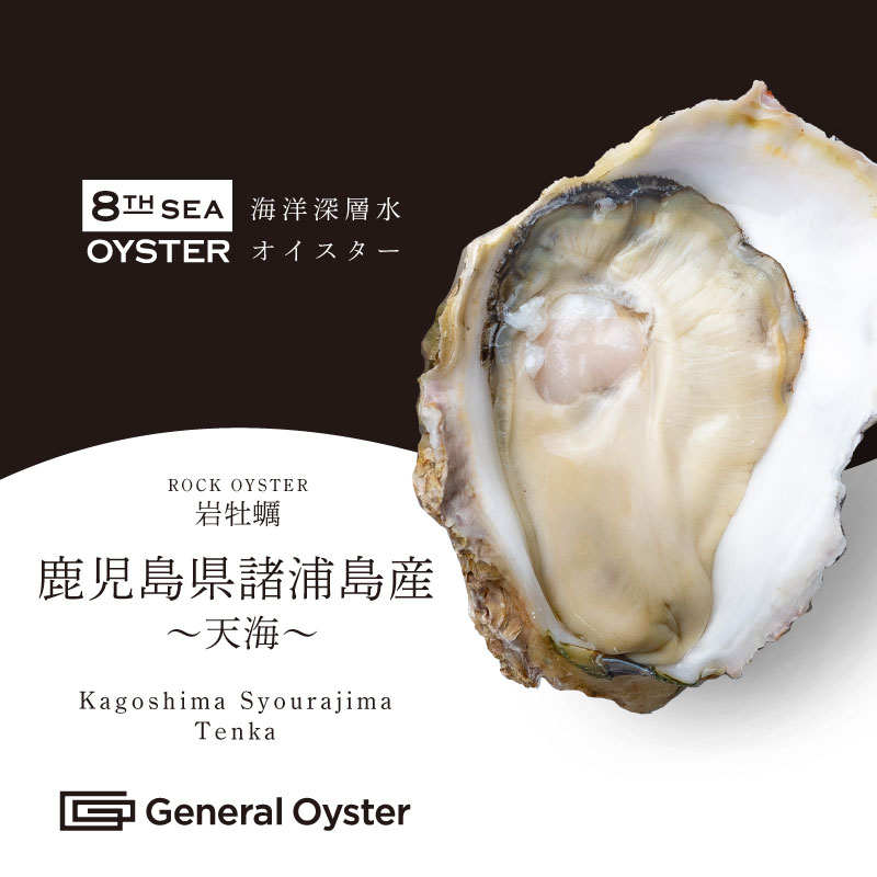 岩牡蠣｜鹿児島県 諸浦島産『天海』（約200g／個）6個〜（品切中