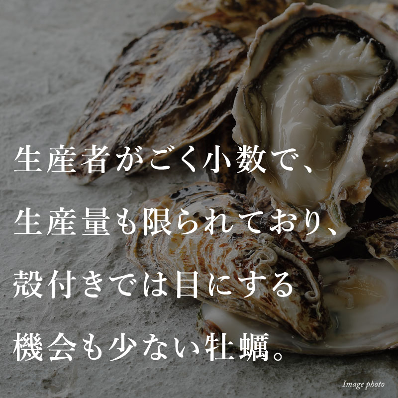 お一人様限定特別価格！　注文受付後水揚げ！真牡蠣10kg お一人様限定価格！1000円引き 真牡蠣10kg 注文受付後水揚げ