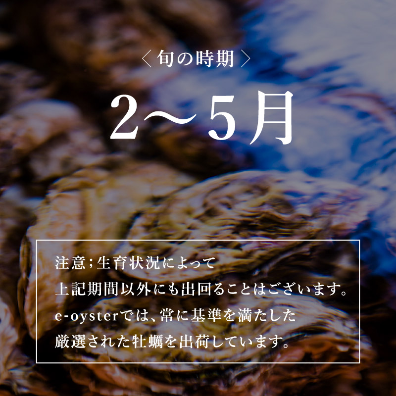 真牡蠣 徳島県 鳴門産 渦潮チャンピオン 品切中 ゼネラル オイスターグループの生牡蠣通販サイト Eオイスター