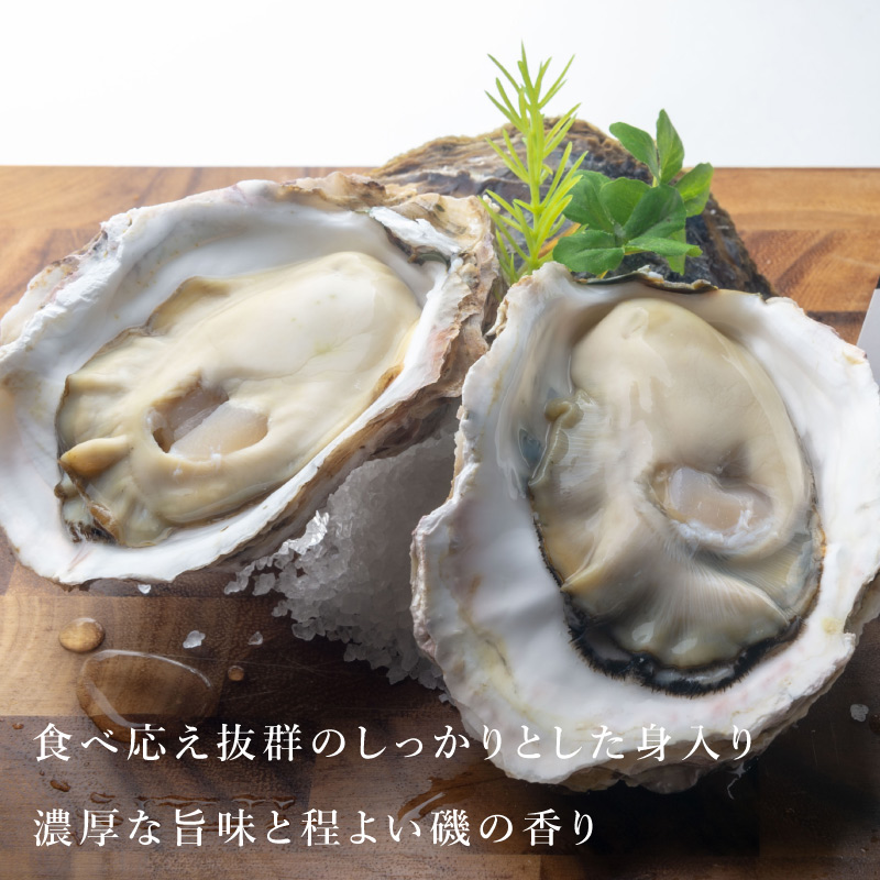徳島県産　鳴潮岩牡蠣　5個 岩牡蠣｜徳島県 鳴門産『渦潮キング』（約250g／個）6個セット