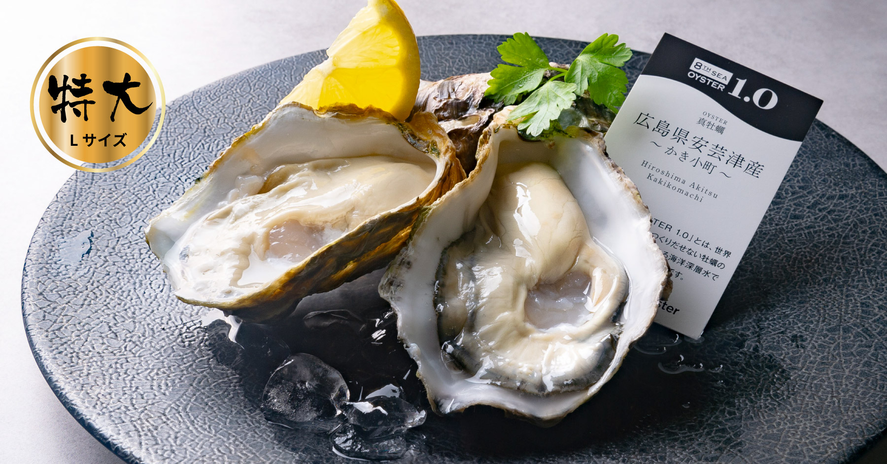 oysters-kaki-WEB-007.jpg?fit=