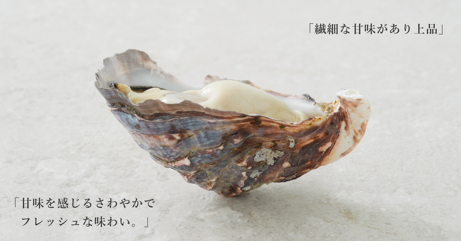 SantaMariaNobella ACQUA カキカキ SantaMariaNobella ACQUA カキカキ様専用