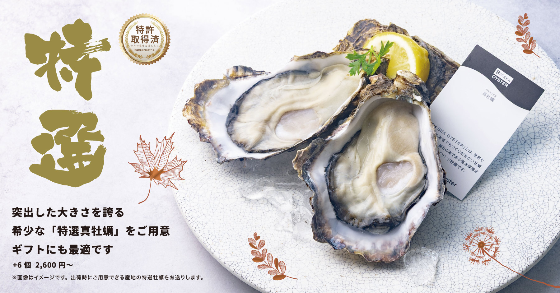 オプションで特選真牡蠣をお届け