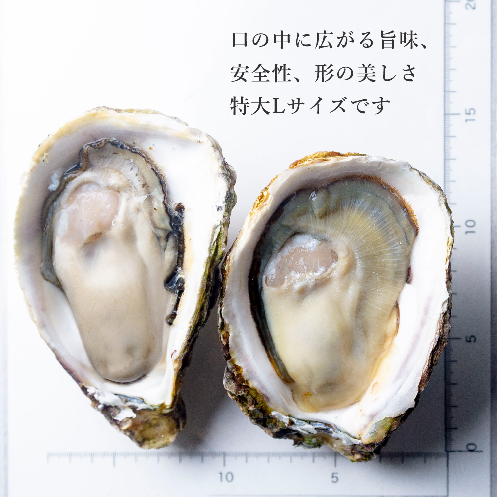 石垣島　特蒲2、特白2、タレ 石垣島 特蒲2、特白2、タレ