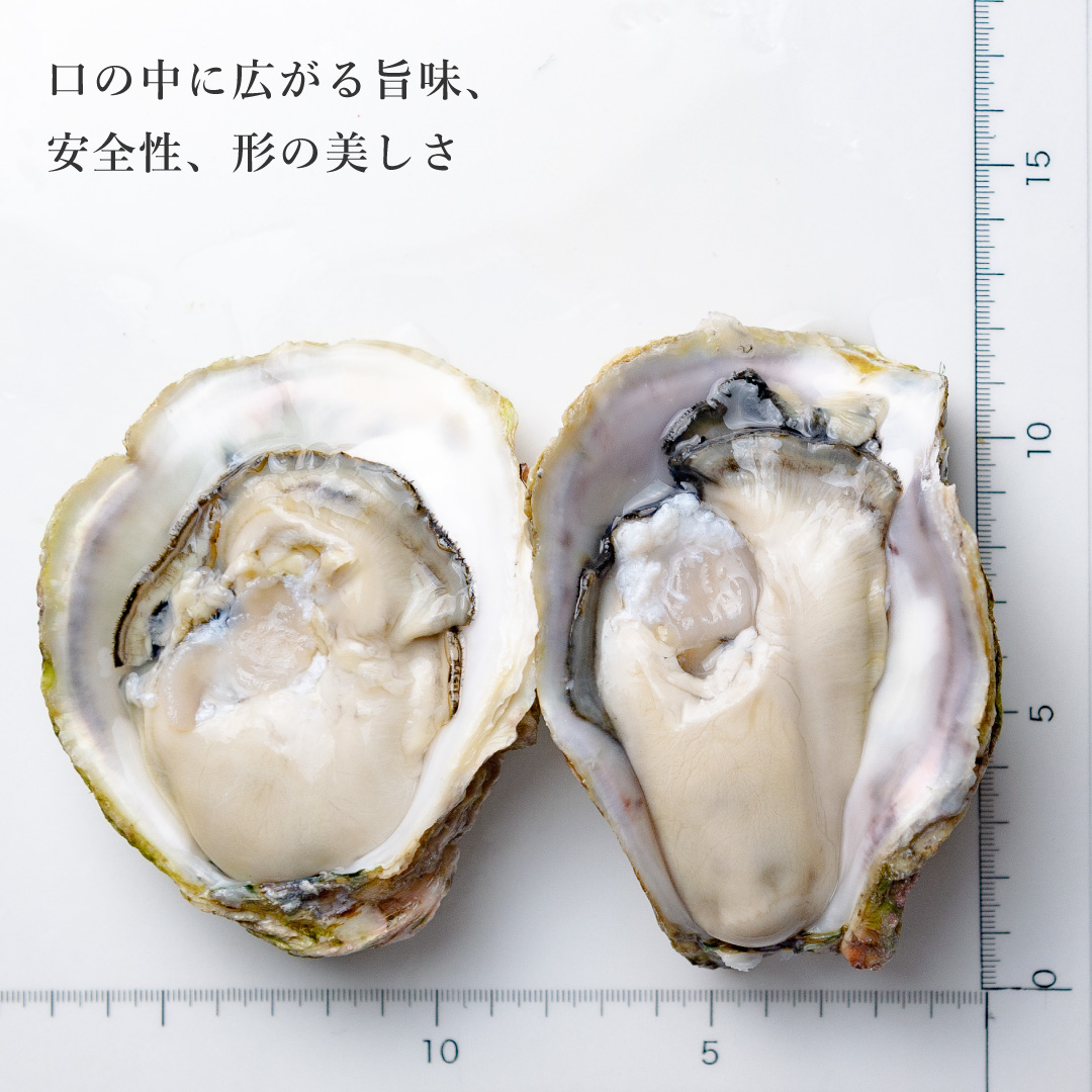 岩牡蠣｜島根県 海士町産『春香』（約170～235g／個）6個セット