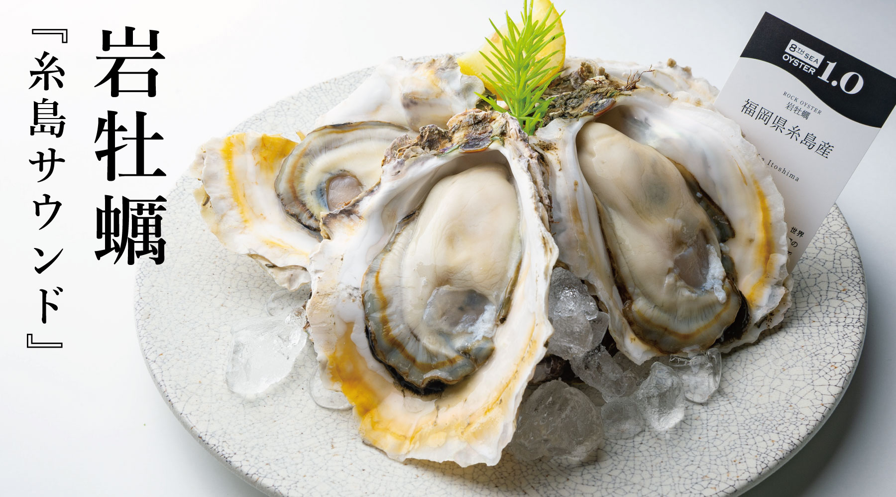 岩牡蠣|福岡県糸島産『糸島サウンド』(約150g/個)|4個 岩牡蠣|福岡県糸島産『糸島サウンド』(約150g/個)|4個