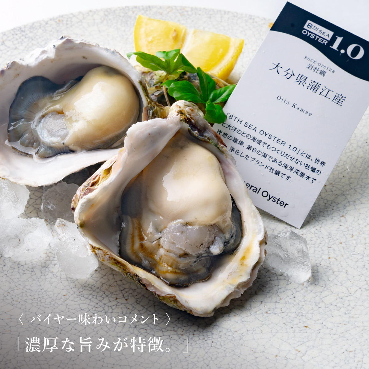 岩牡蠣｜大分県 蒲江産M｜4個セット〜（品切中） | ゼネラル