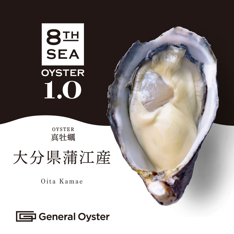 特別価格！お一人様限定！真牡蠣8kg 50個前後　送料込み　6500円！！ 真牡蠣｜大分県 蒲江産 12個セット〜 | ゼネラル・オイスター