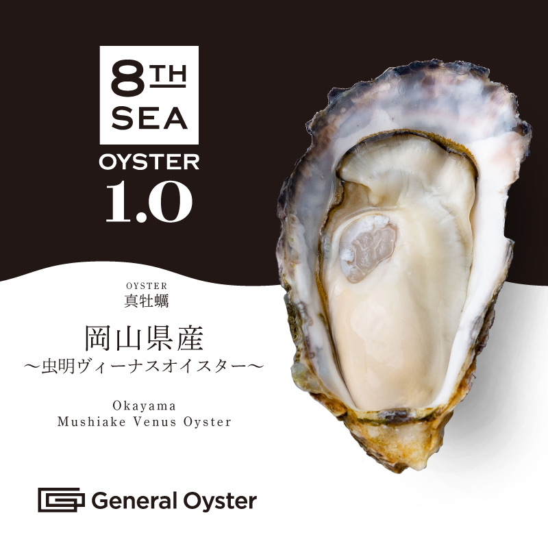 真牡蠣｜岡山県産『虫明ヴィーナスオイスター』12個セット