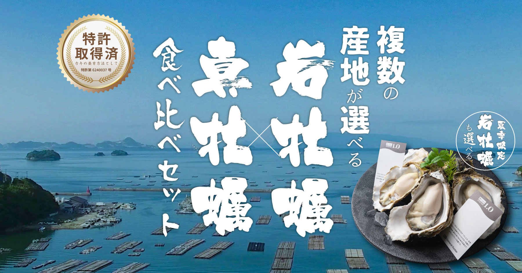 選べる2産地岩牡蠣と真牡蠣食べ比べセット