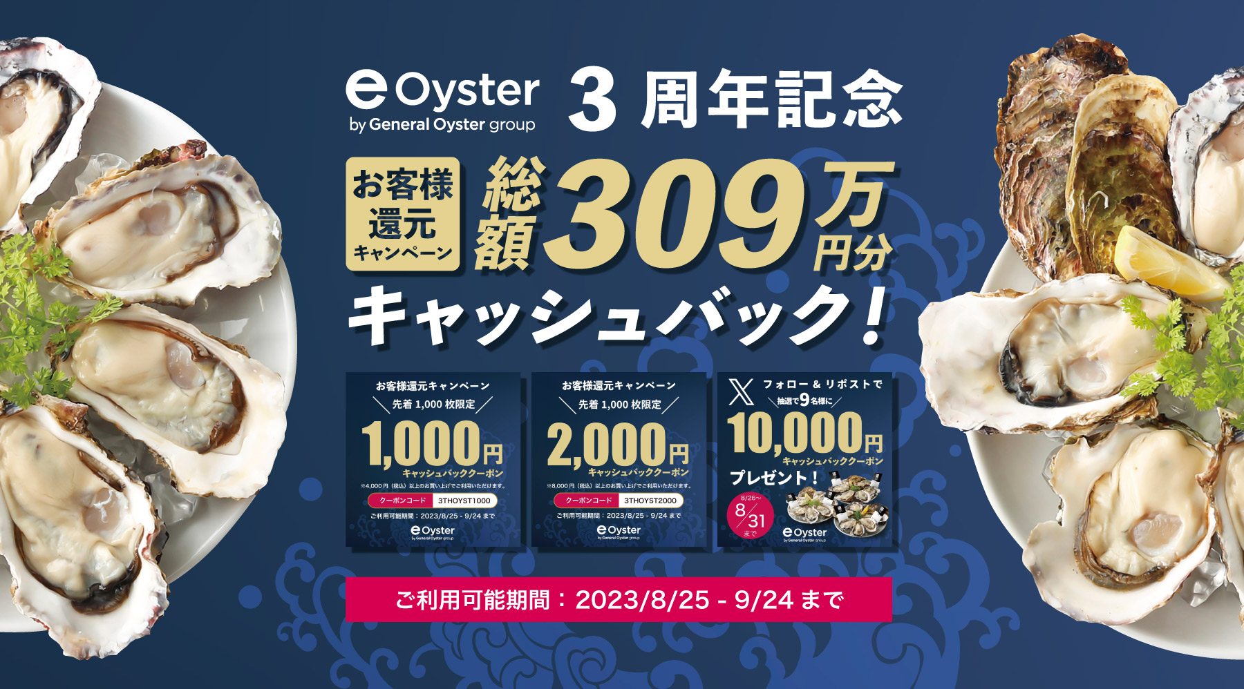 e-oyster3周年記念309万円分キャッシュバックキャンペーン