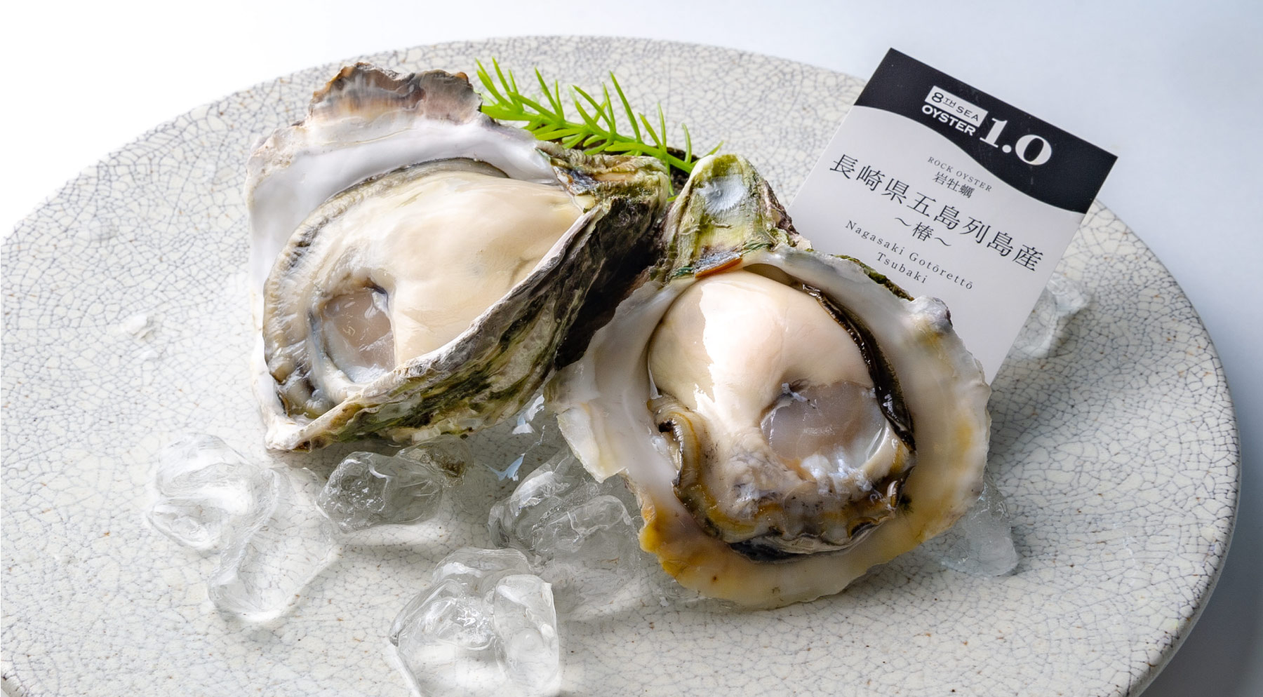 長崎県 五島列島産 越物あこや真珠 超稀少無調色ホワイトグリーン 無傷