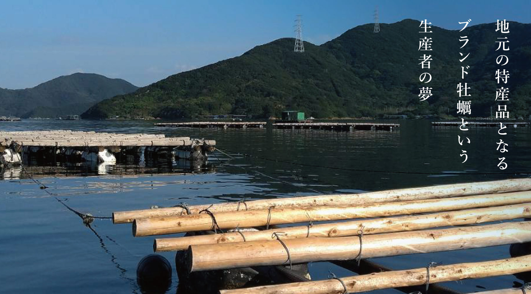 岩牡蠣｜徳島県 鳴門産『渦潮キング』（約250g／個）6個セット