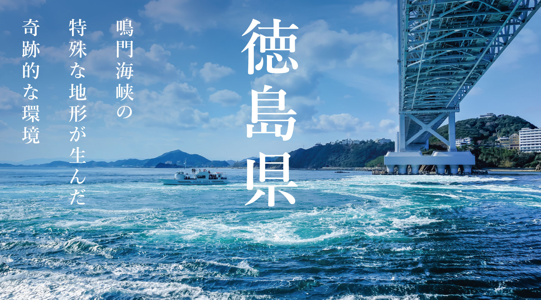 真牡蠣|徳島県 鳴門産『渦潮チャンピオン』6個セット〜(品切中 真牡蠣|徳島県 鳴門産『渦潮チャンピオン』6個セット〜(品切中