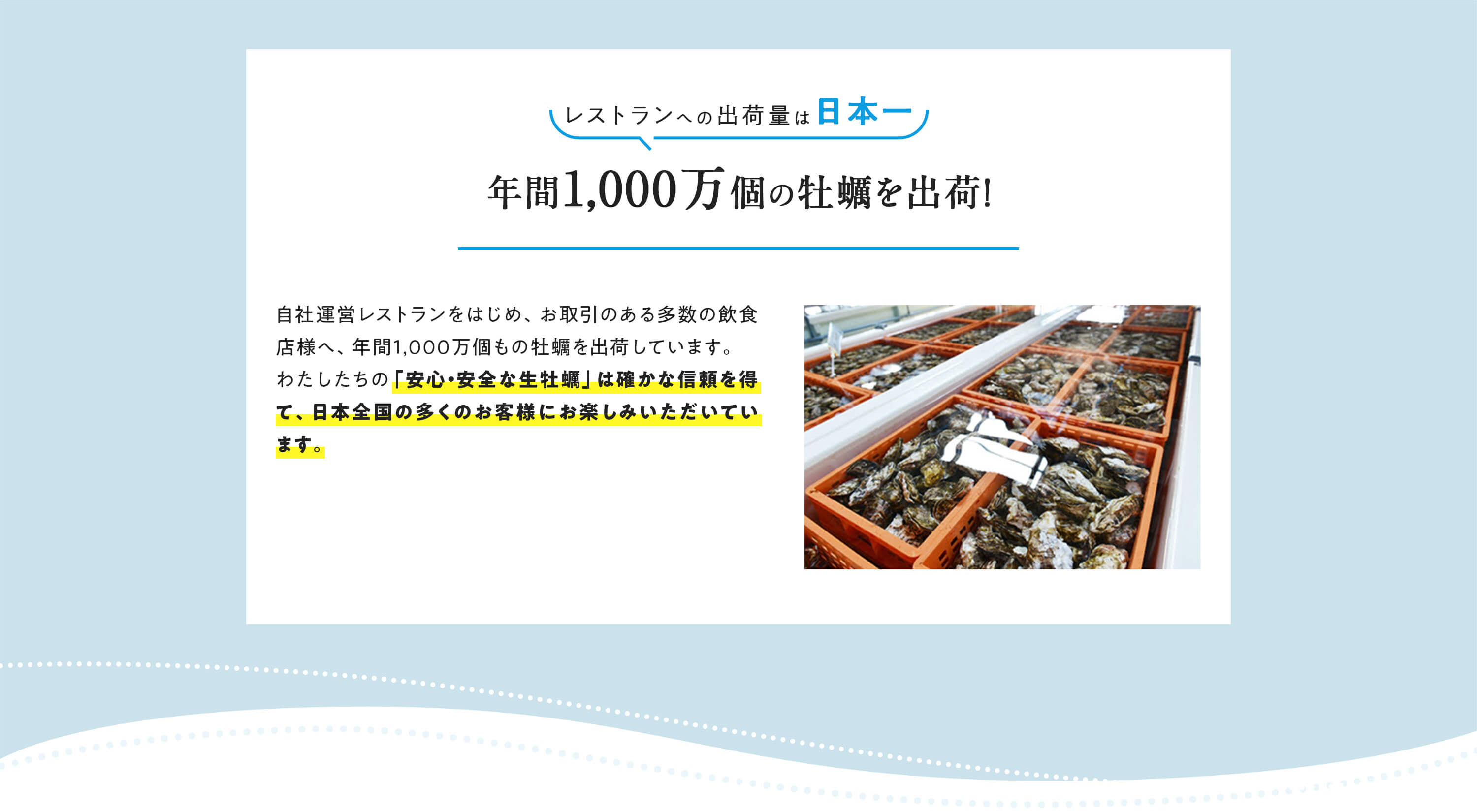レストランへの出荷量は日本一 年間1,000万個の牡蠣を出荷