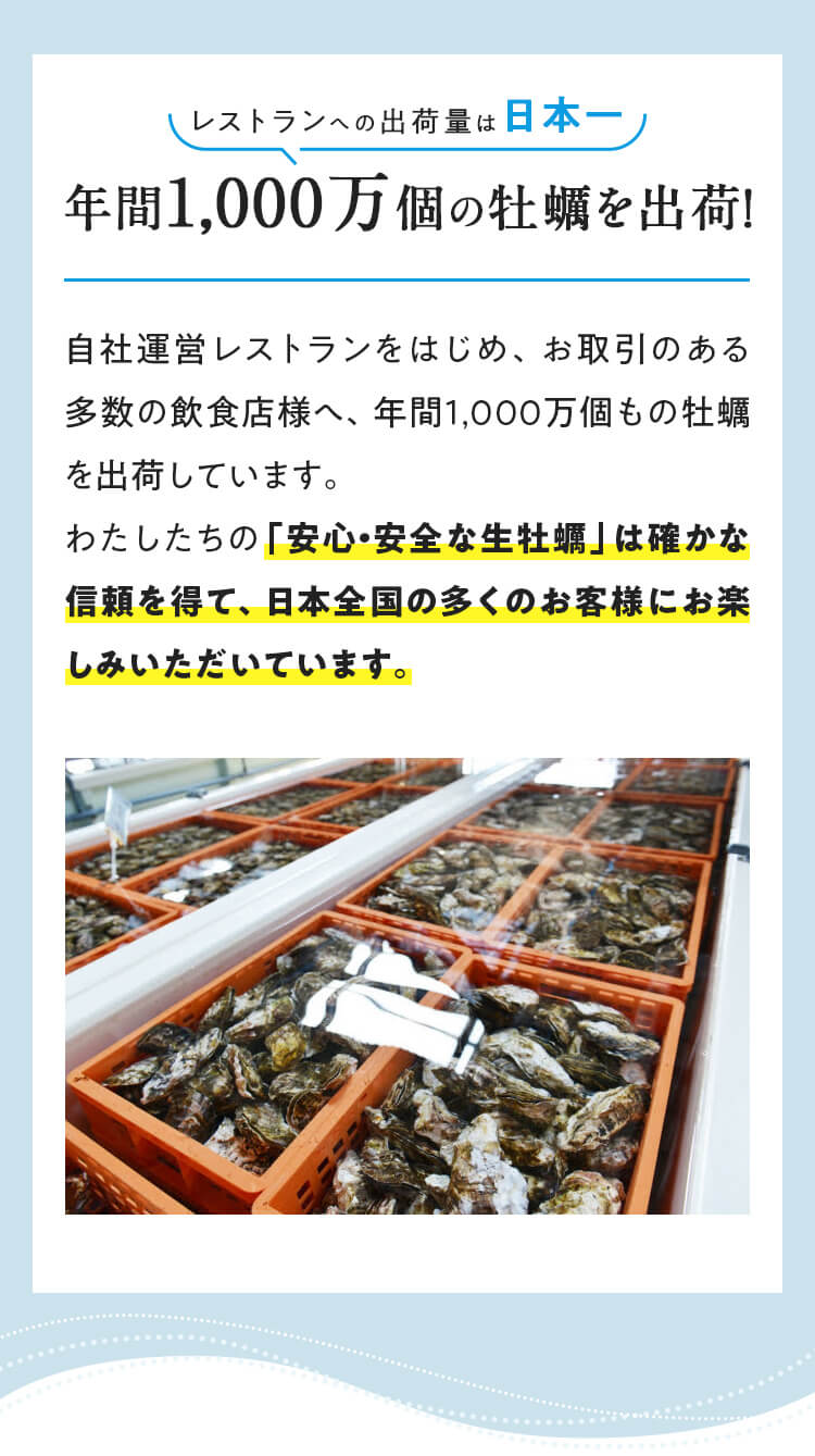 レストランへの出荷量は日本一 年間1,000万個の牡蠣を出荷