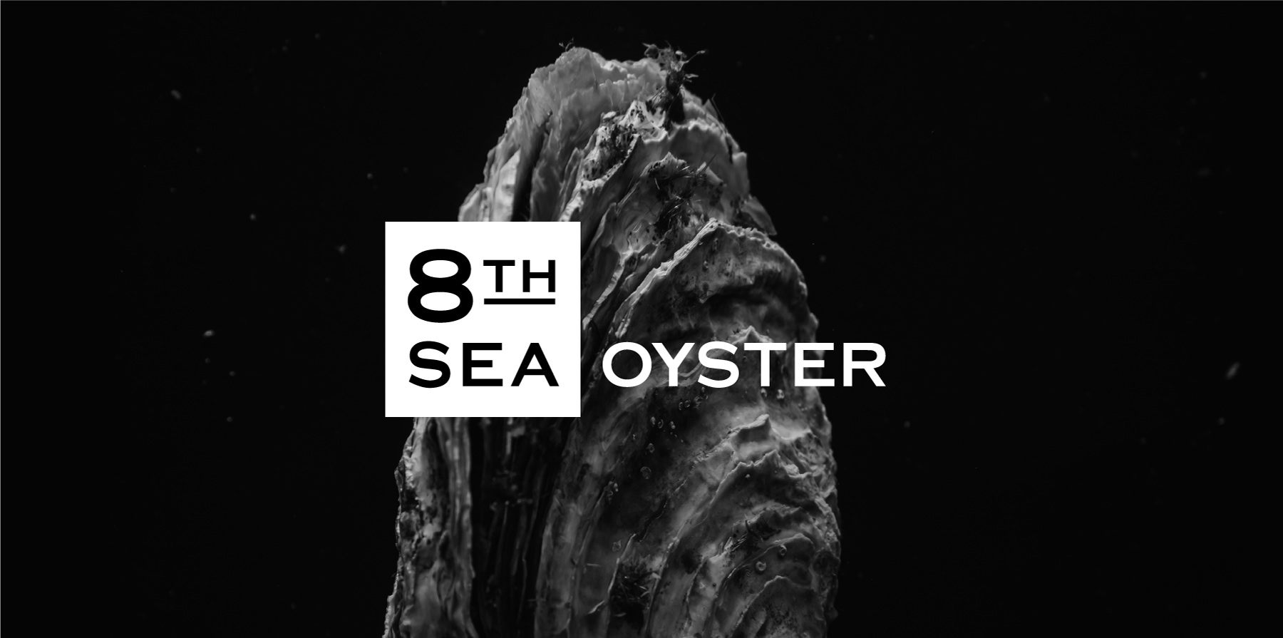 【8th sea oyster】デビュー！