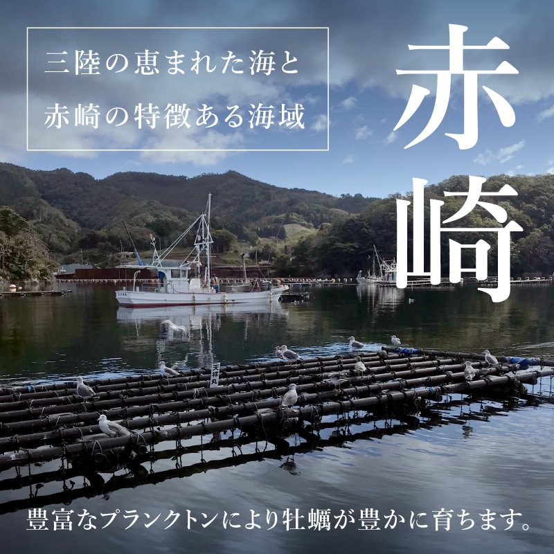 真牡蠣｜岩手県 赤崎産 6個〜（品切中） | ゼネラル・オイスターグループの生牡蠣通販サイト「eオイスター」