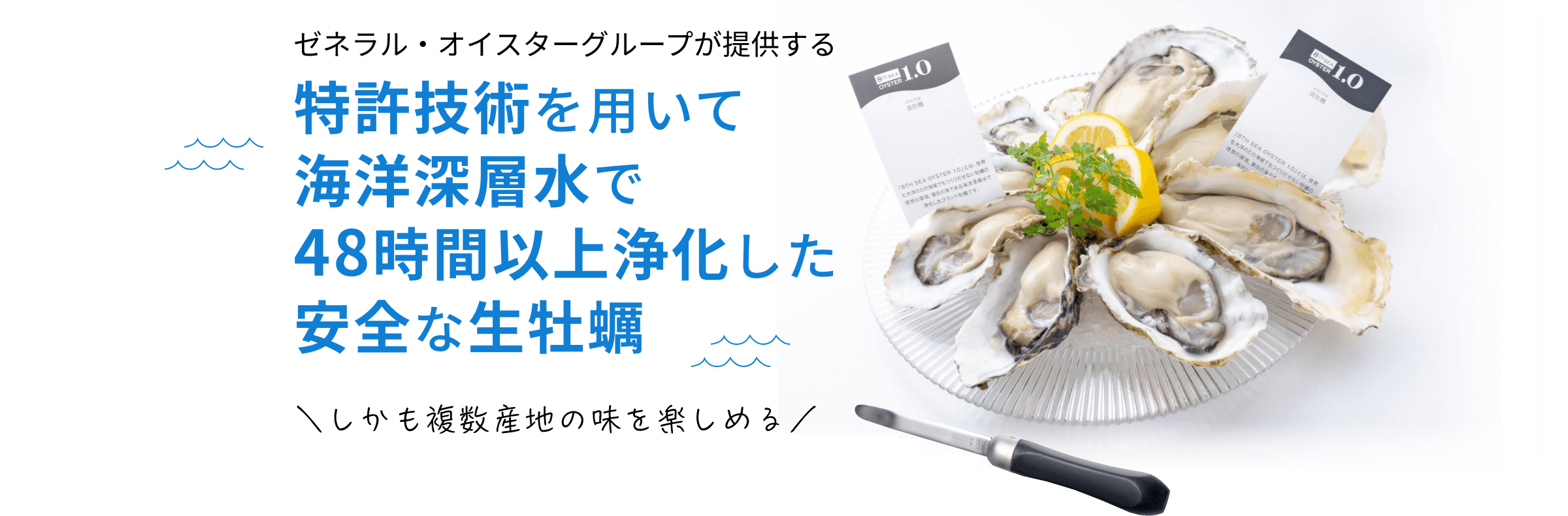 特許技術を用いて海洋深層水で48時間以上浄化した安全な生牡蠣