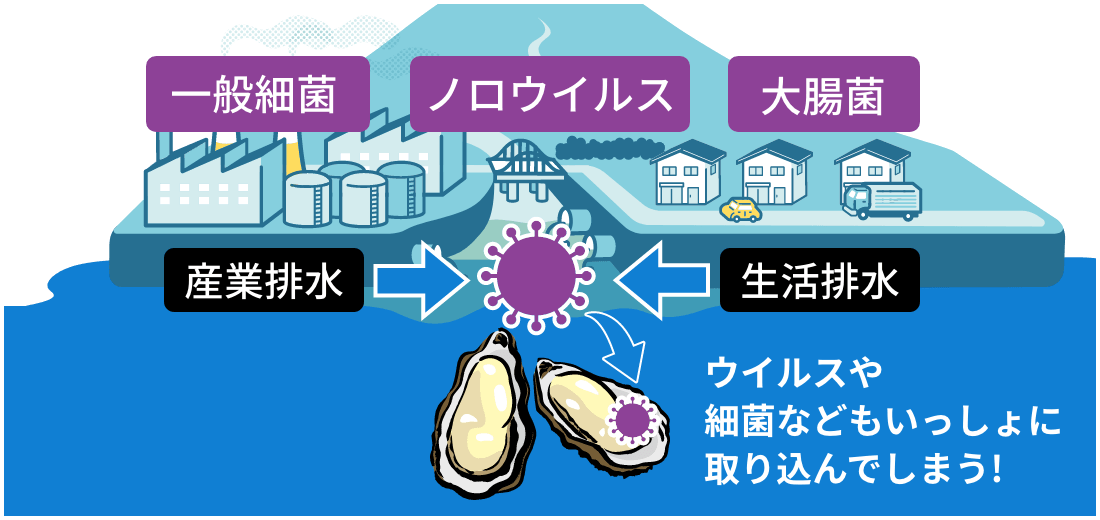 ウイルスや細菌などもいっしょに取り込んでしまう!