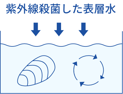 紫外線殺菌した表層水